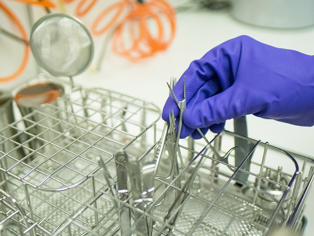 Detailbild Werkzeug Zahntechnik.